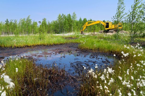 Pollution Cleanup is Costly. Are you on the Right Track?