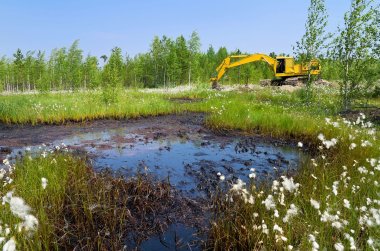 Pollution Cleanup is Costly. Are you on the Right Track?
