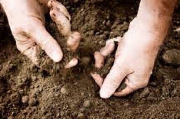 How Can Clean Soil Now Be Dirty?