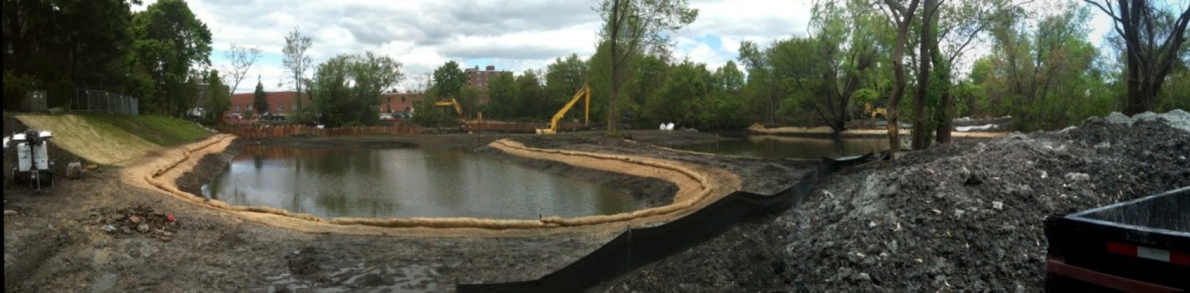 Blair Pond Restoration